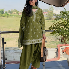 Olivo Farshi Salwar Set