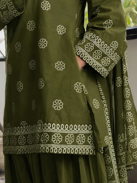 Olivo Farshi Salwar Set