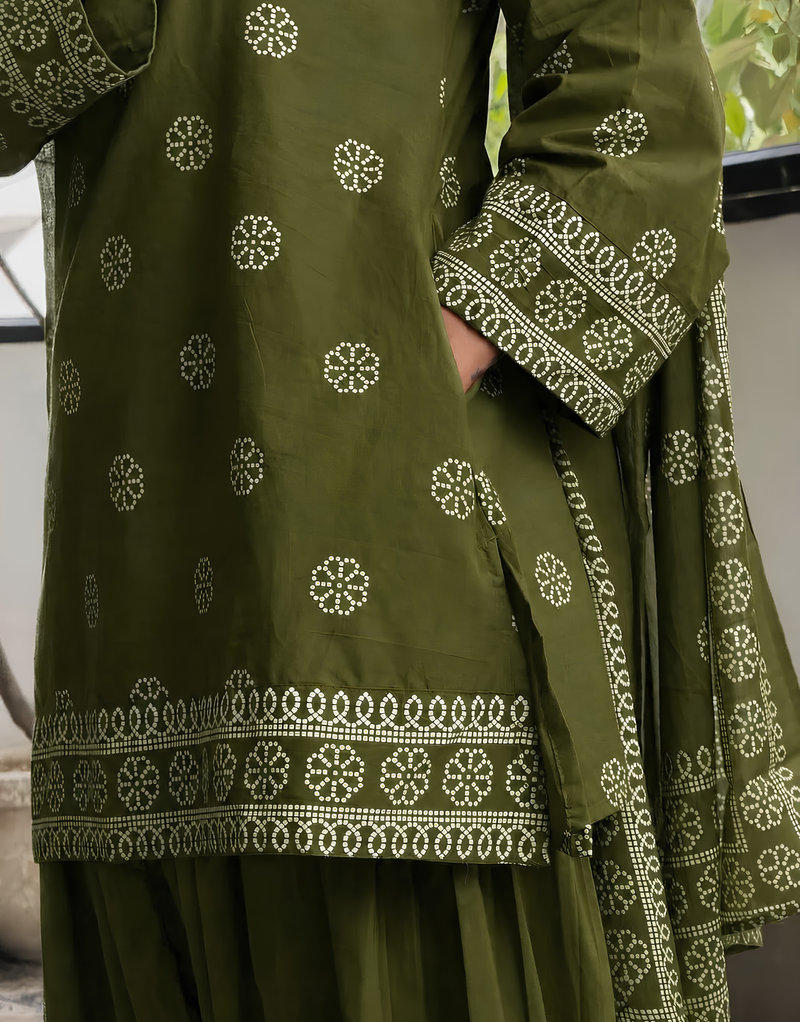 Olivo Farshi Salwar Set