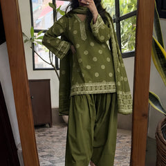 Olivo Farshi Salwar Set